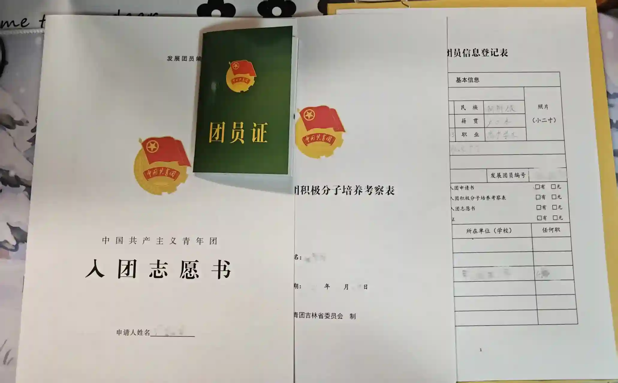Featured image of post 我将成为一名光荣的共青团员