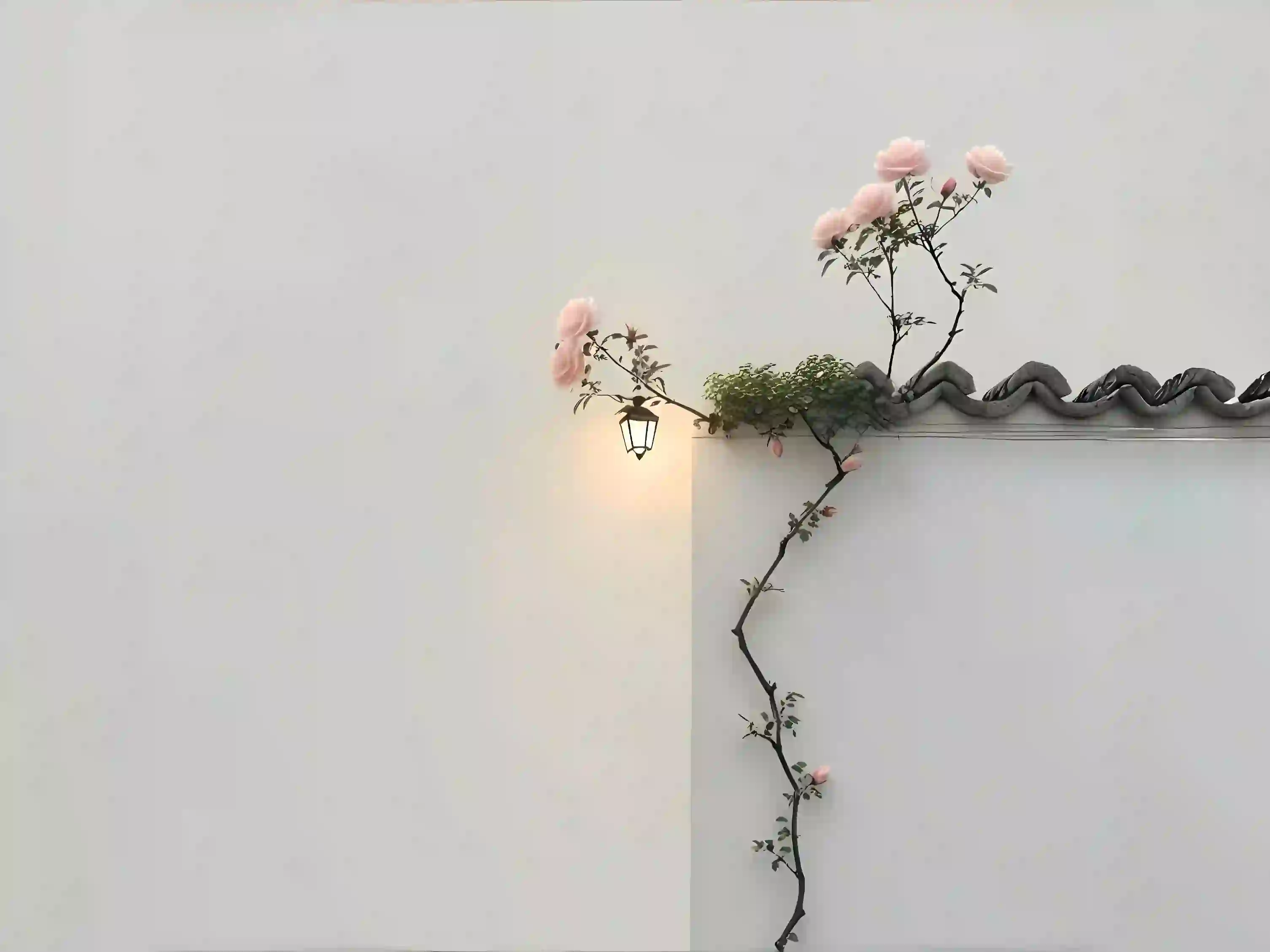 Featured image of post 周而复始，浑然天成——恭喜台北一哥周天成夺冠！